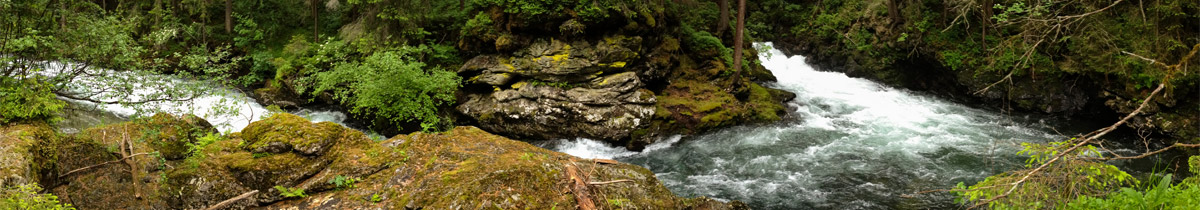 Header_Wilde-Wasser